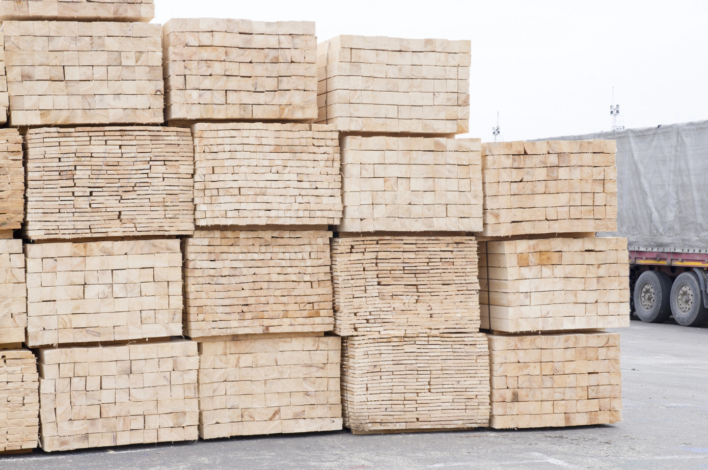 Japan sawmills keep prices stable as port inventories tighten