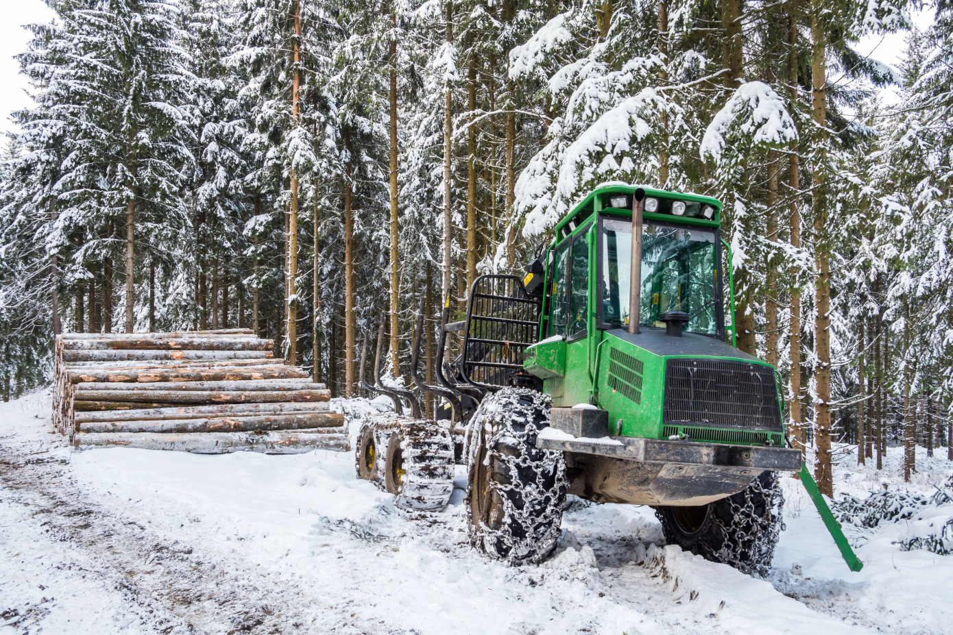 Finland’s industrial roundwood fellings drop 12% in January 2026