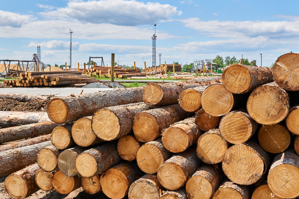 Slovenian private roundwood purchase value surges 56% in October