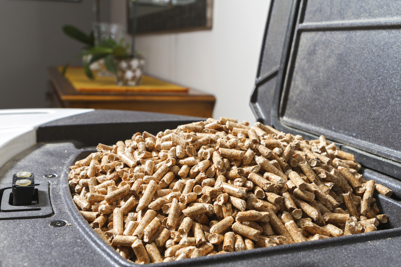 Imports of wood pellets to Japan increase 33% in November