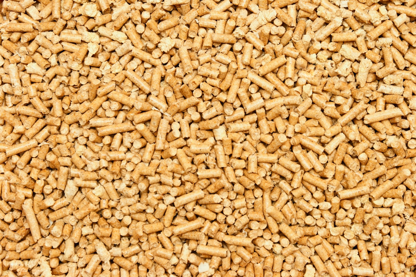 Imports of wood pellets to Japan increase 11% in December