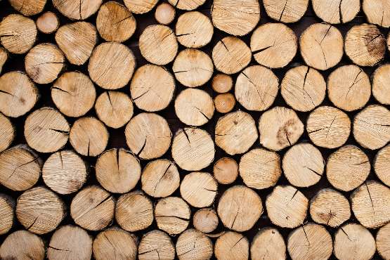 Экспорт круглого леса из Норвегии подскочил в марте на 24%