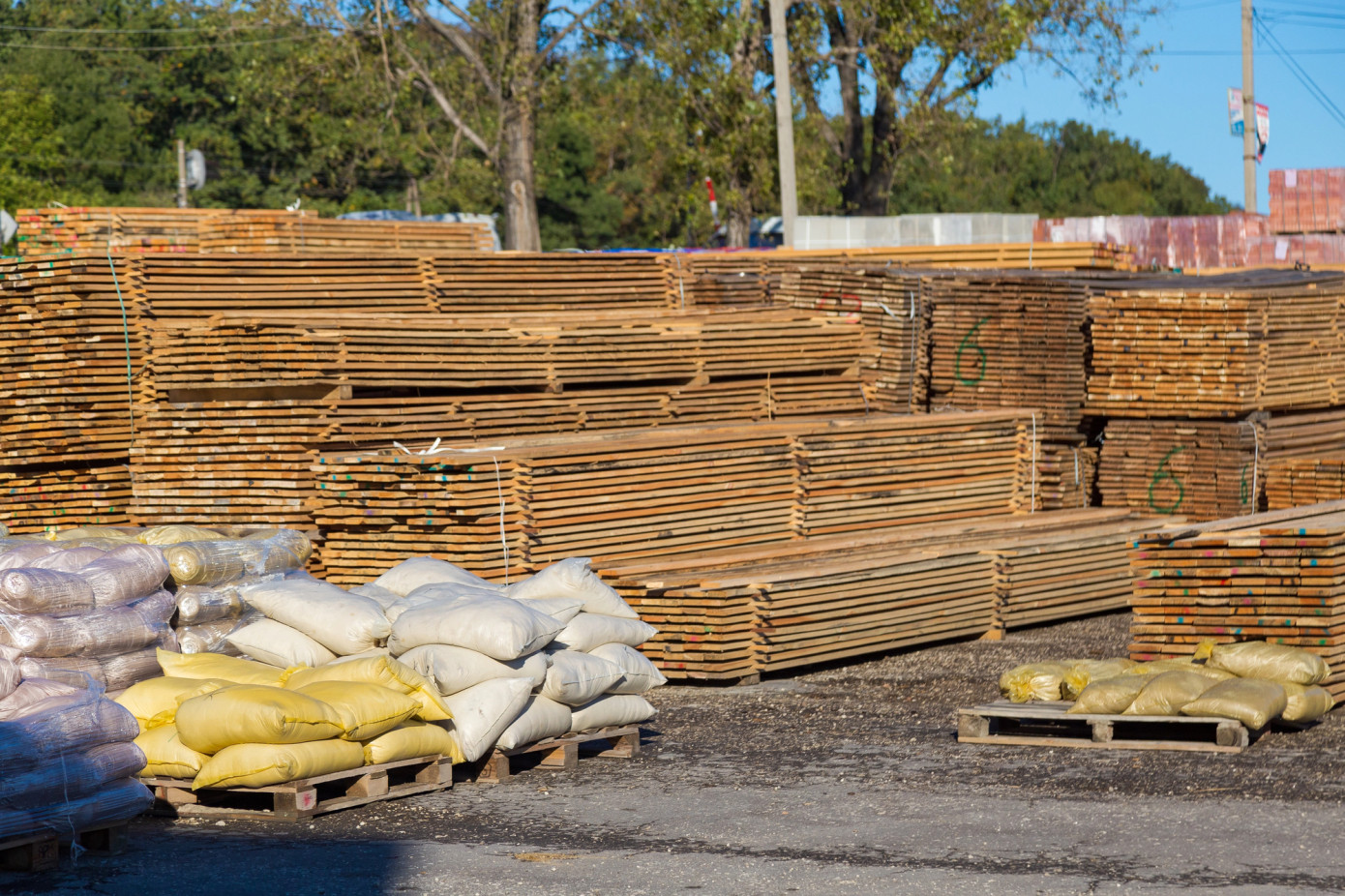 China"s wood-processing profits fall 38% in January-August