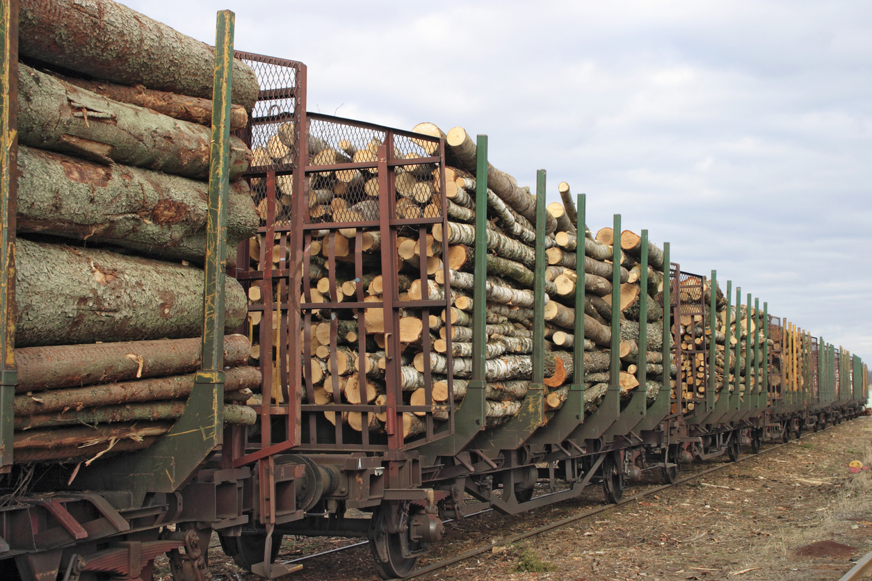 Norway"s timber harvest edges down 0.3% in third quarter