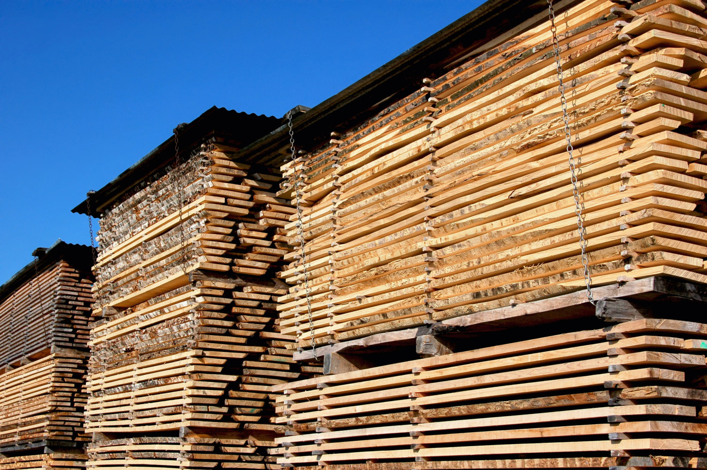 Madison"s Lumber Price Index falls 1% to $491