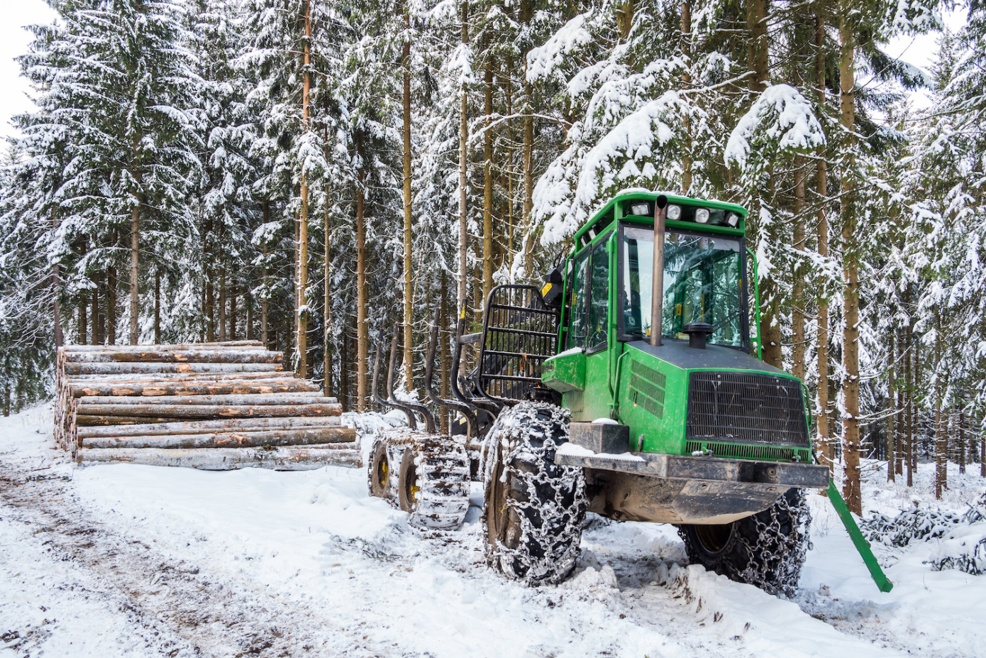 Lesy ČR awards 40 contracts in Czech Republic