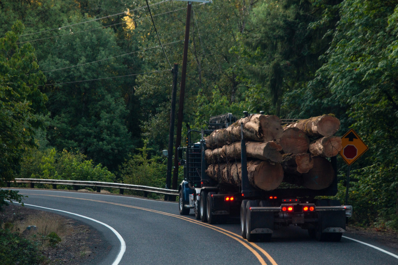 Weyerhaeuser и Aymium объединяют усилия для производства биоуглерода