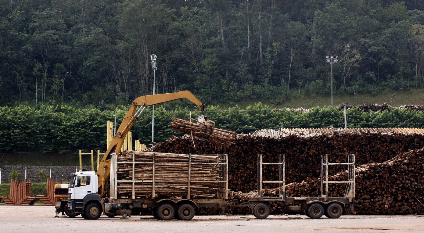 Imports of logs to Japan lose 14% in April