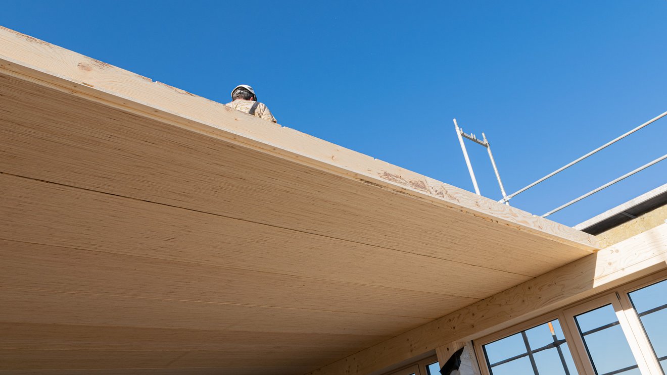 В январе-сентябре 2025 г. выручка Steico выросла на 0,8%