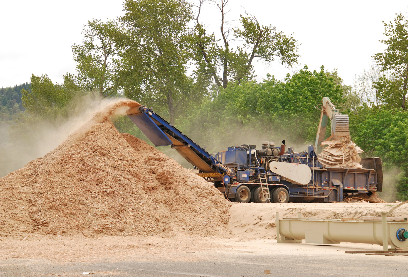 Canada softwood chips production falls 15% in January