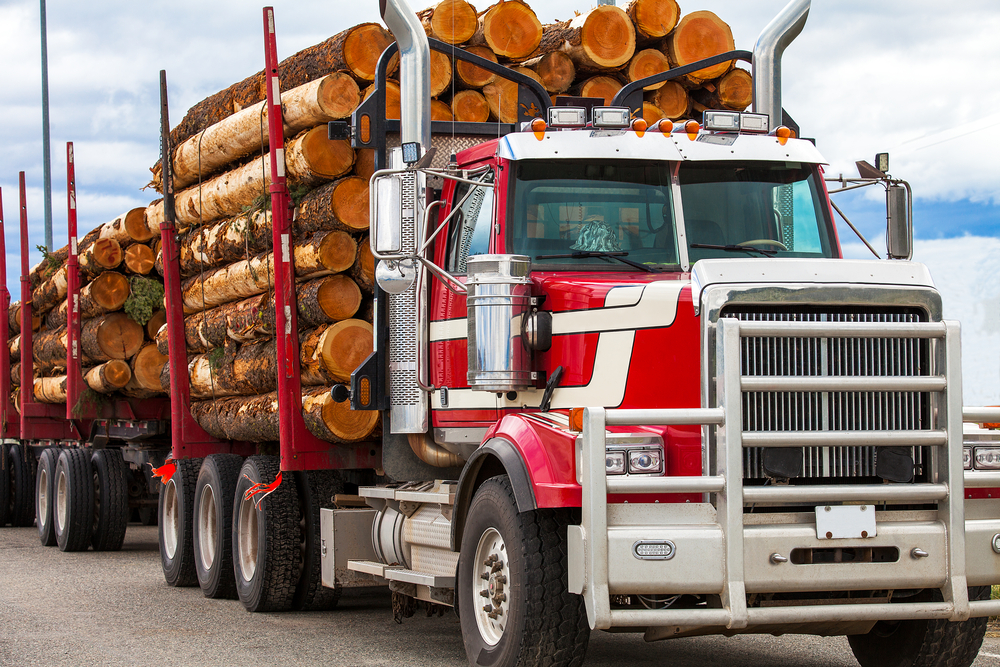 Exports of logs from Brazil contract 37% in April