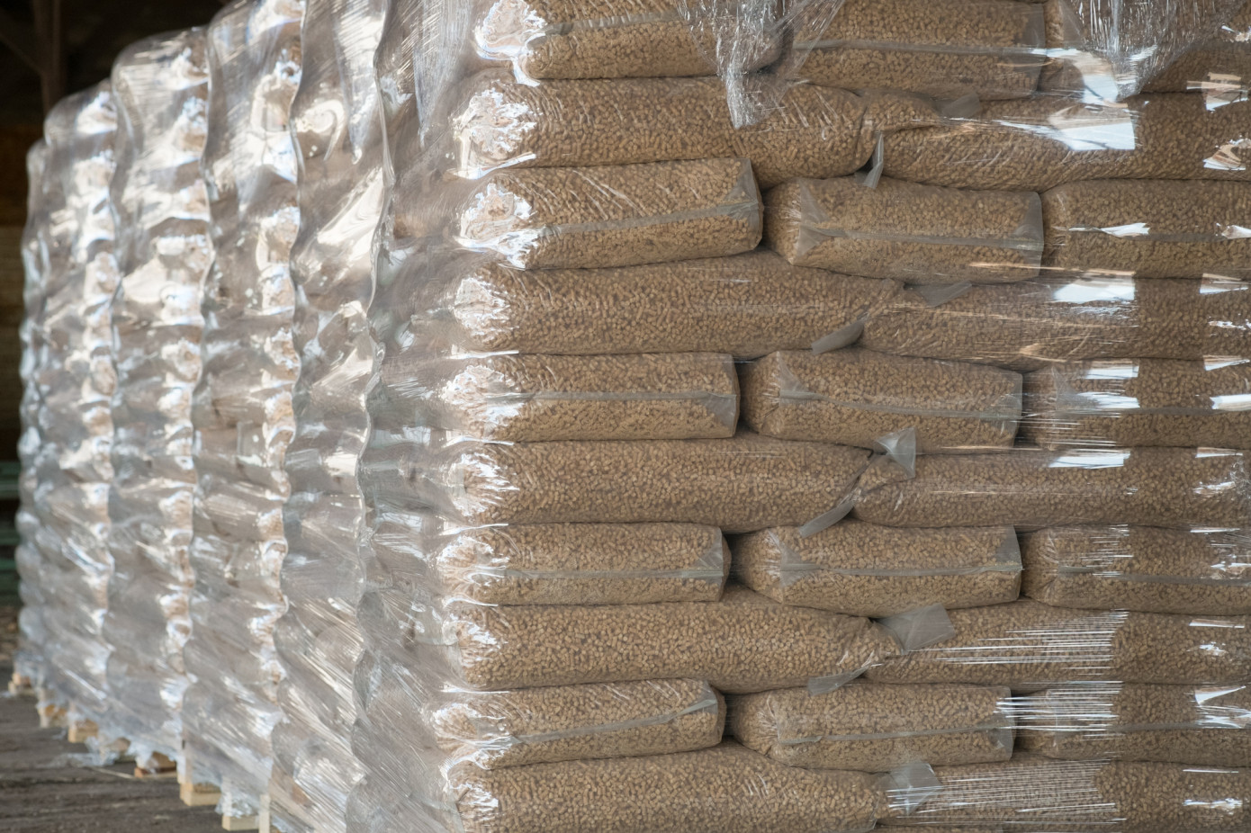 Exports of wood pellets from Canada increase 5% in October