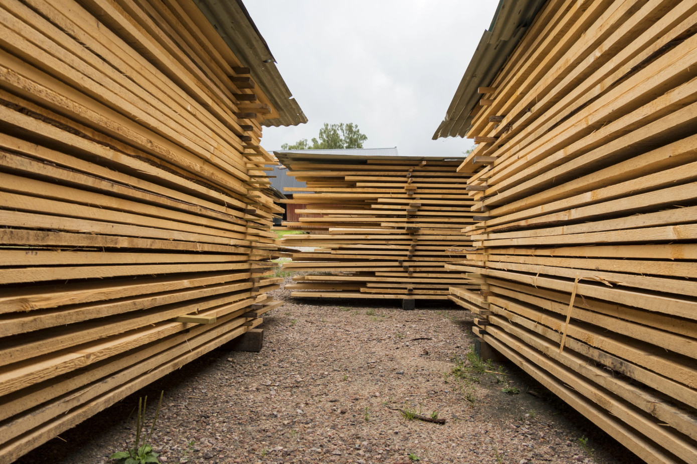 Swedish sawmills start 2026 with margins under pressure after weak Q4