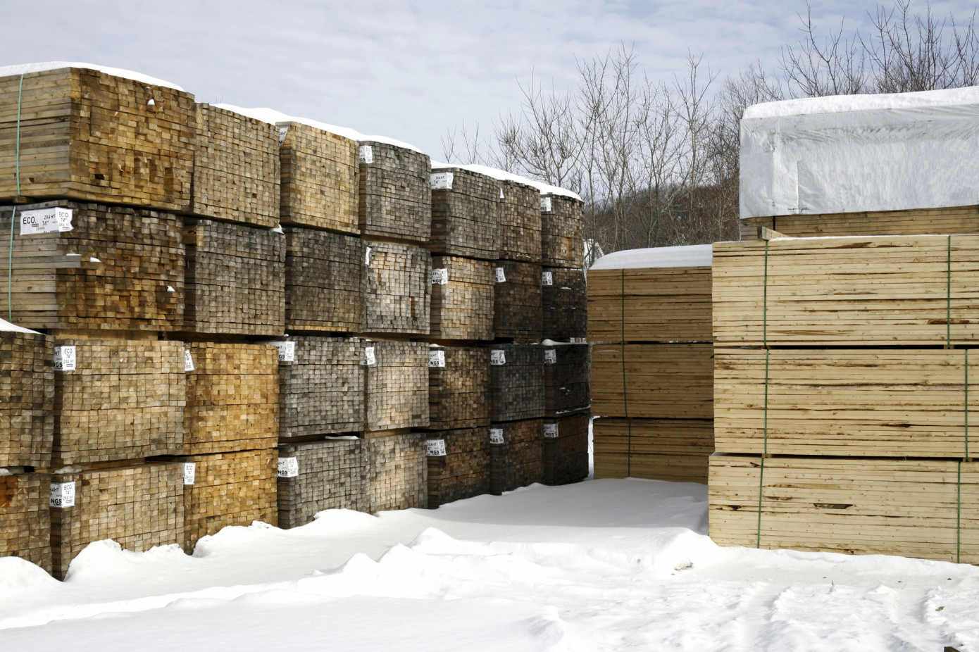 U.S. moves toward lowering Canadian softwood lumber duties to 25%