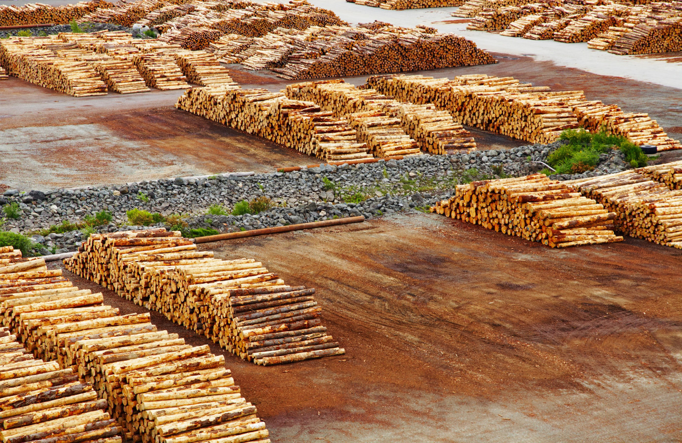 Imports of pulpwood to Finland decrease 44% in July