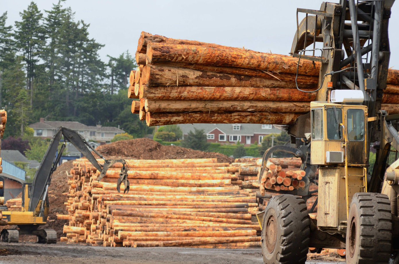 Exports of logs from Norway increase 27% in September