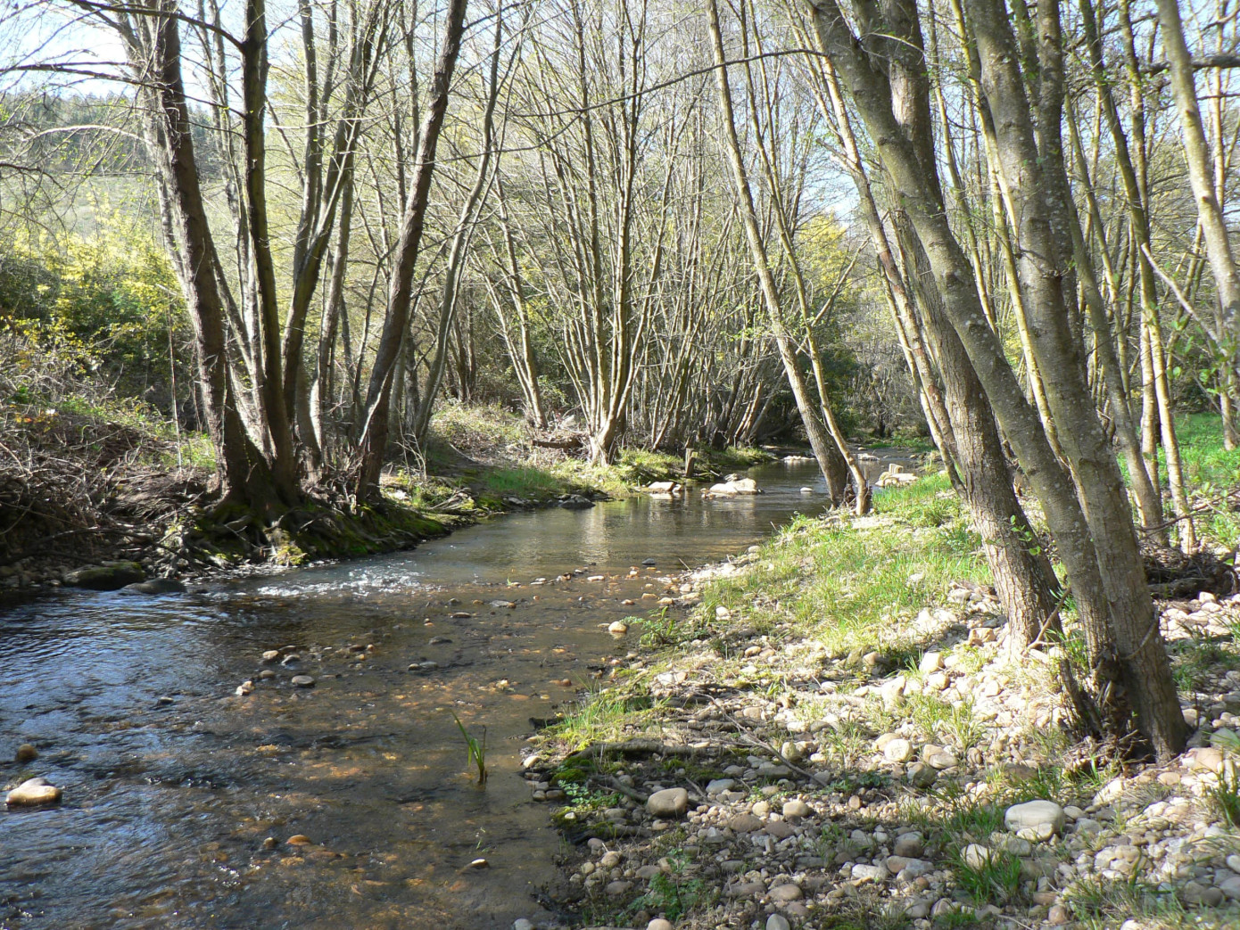 Европейский инвестиционный банк предоставит кредит португальской The Navigator Company