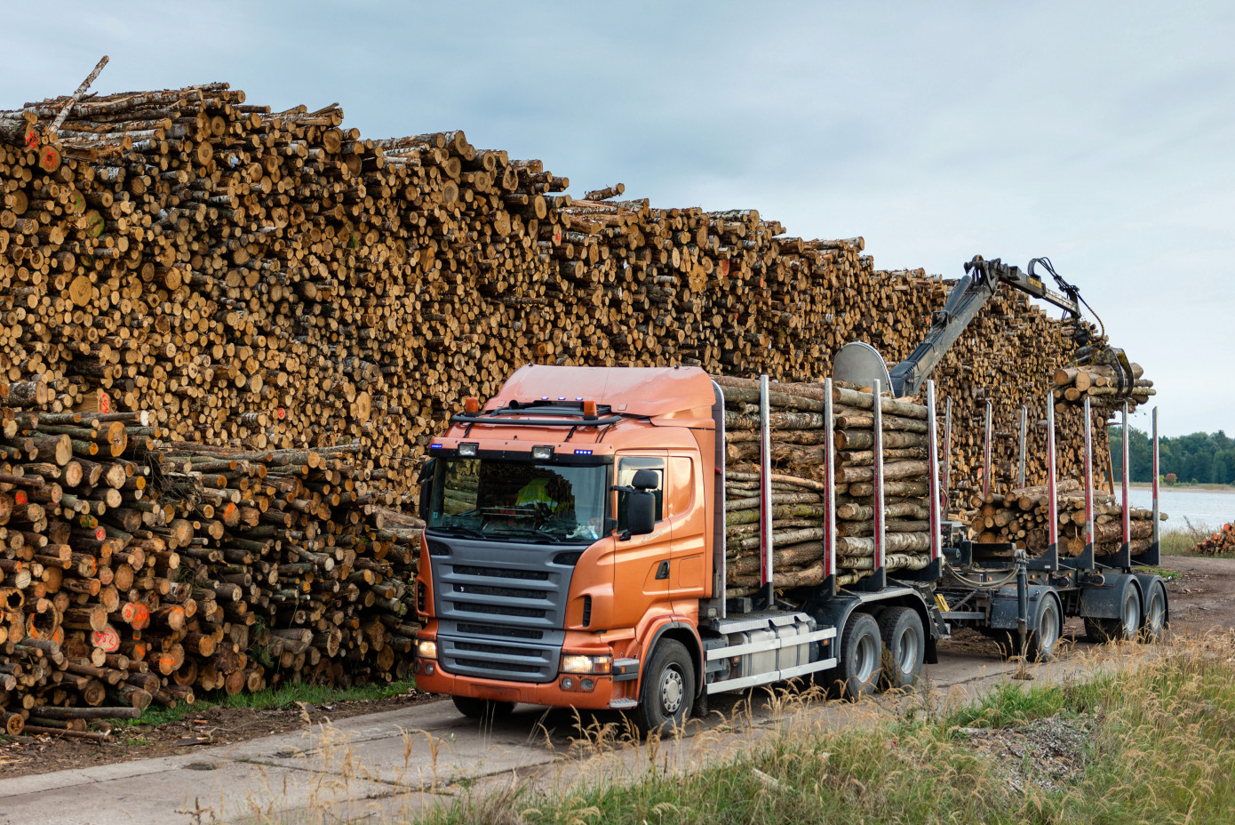 China apparent log consumption falls 1.3% in 2025