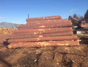 Sibirya karaçamı Kerestelik tomruk 30 mm x 6 m