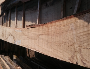 38 mm x 150 mm x 2500 mm White Oak Flitch