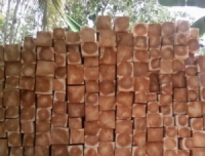 6 in. x 6 in. x 92 mm AD Teak Squares