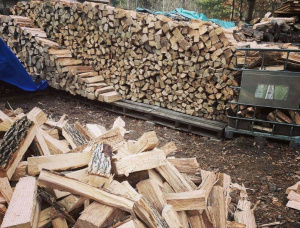 Kiln Died Firewood 10 mm x 50 mm