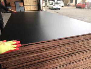 Sanded Eucalyptus Film faced plywood 2440 mm x 1220 mm x 18 mm