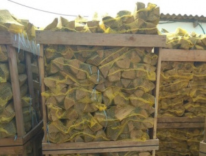 Kayu bakar dikeringkan kiln 200 mm x 200 mm