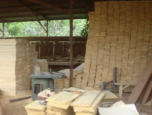 100 мм x 250 мм x 5000 мм  Доска обрезная Можжевельник стройный S4S AD