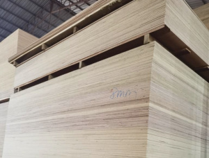 F/F Obéché (Abachi, Ayous, Samba, Wawa) Interior Plywood 2500 mm x 120 mm x 40 mm