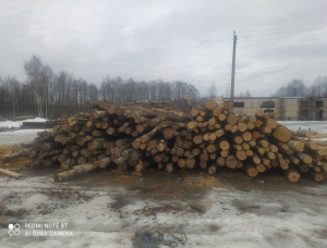Larch Arangnya kayu 6000 mm