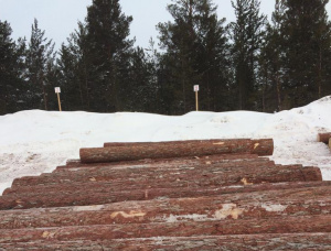 Sibirya karaçamı Kerestelik tomruk 100 mm x 6 m