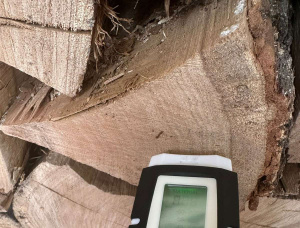 Kiln सूखे Firewood 150 mm x 250 mm