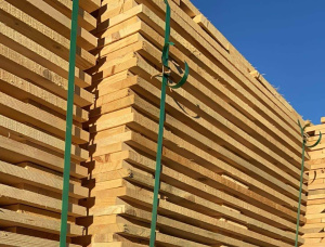 Common Black Alder Wooden Pallet 3000 mm x 200 mm x 2 mm