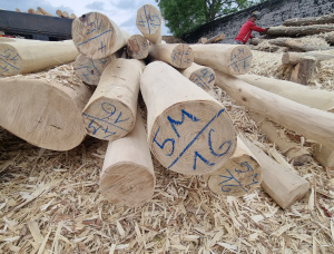 Acacia Poles 100 mm x 2.5 m