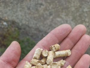Pinheiro Pellets de madeira 6 mm x 15 mm