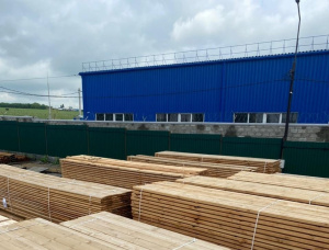 50 mm x 200 mm x 6000 mm GR S4S  Siberian Pine Lumber