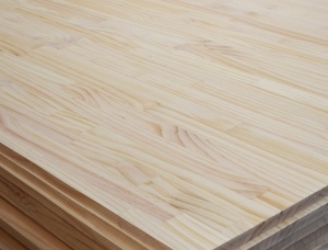 Pinus 10 mm x 500 mm x 1220 mm