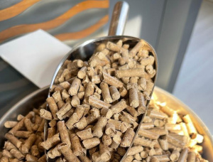 Pellets de madera 6 mm x 10 mm