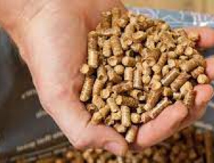 Holzpellets Eiche 8 mm x 10 mm