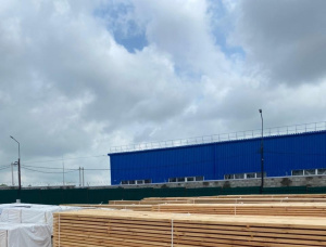 25 mm x 100 mm x 6000 mm GR S4S  Siberian Pine Lumber