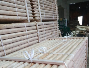 Sarıçam Polonyalılar 100 mm x 6 m