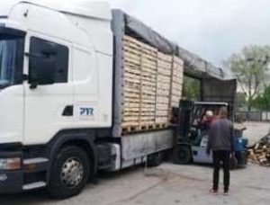 Seasoned Firewood 90 mm x 330 mm