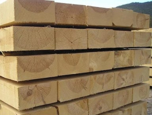 60 mm x 160 mm x 6000 mm Druck behandelt Eingefasstes Brett Erle S1S1E GR