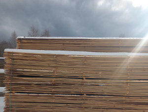 22 mm x 125 mm x 6000 mm AD R/S  Spruce-Pine (S-P) Lumber