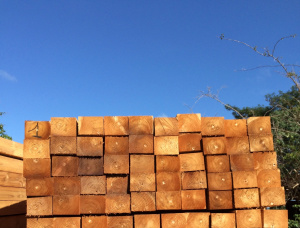 25; 38; 50; 75 mm x 50; 75; 100; 150; 200; 250 mm x 2300 mm Eingefasstes Brett Teak NHLA FAS