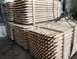 Sarıçam Polonyalılar 100 mm x 6 m