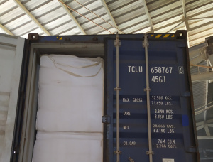 Armand Pine (Pinus Armandi) Debu gergaji kayu