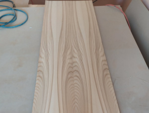 Spanplatte 19 mm x 600 mm x 2500 mm