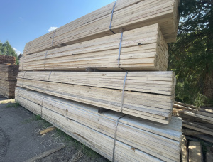 100 mm x 100 mm x 6000 mm एस्पेन आरी कटी लकड़ी